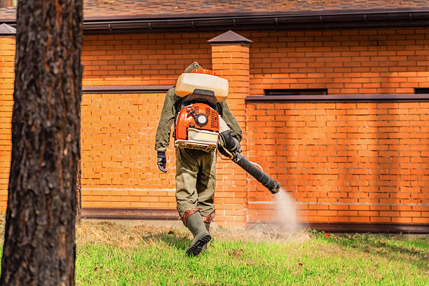 Trusted Rodent Control service in Williamsport, PA - Nex Pest Control